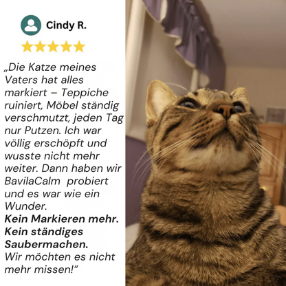 Geben Sie Ihrer Katze endlich die Ruhe und Sicherheit, die sie verdient mit BavilaCalm™
