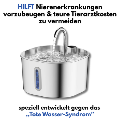 Schütze deine Katze vor Dehydrierung und Harnwegsproblemen mit der PfotenBar