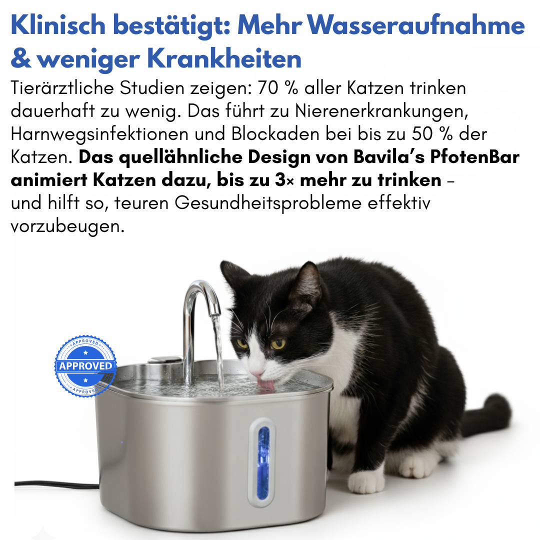 Schütze deine Katze vor Dehydrierung und Harnwegsproblemen mit der PfotenBar