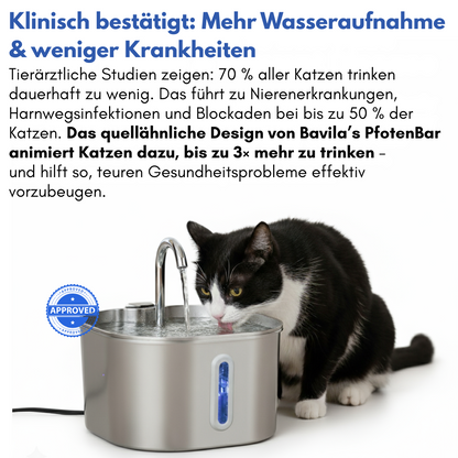 Schütze deine Katze vor Dehydrierung und Harnwegsproblemen mit der PfotenBar
