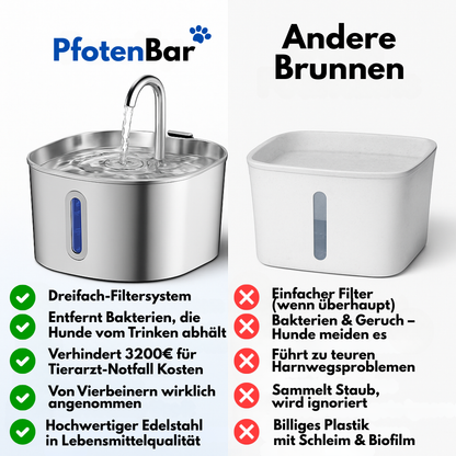Schütze deinen Hund vor Dehydrierung und Harnwegsproblemen mit der PfotenBar