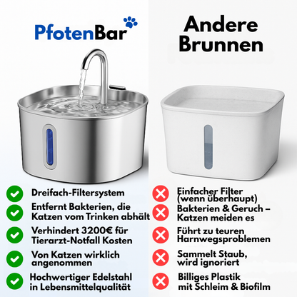 Schütze deine Katze vor Dehydrierung und Harnwegsproblemen mit der PfotenBar