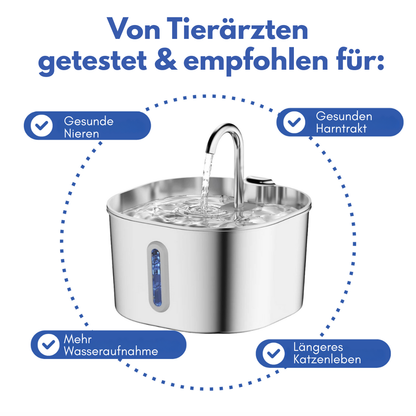 Schütze deine Katze vor Dehydrierung und Harnwegsproblemen mit der PfotenBar