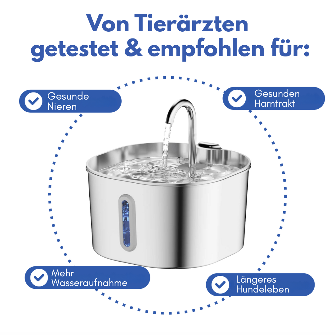 Schütze deinen Hund vor Dehydrierung und Harnwegsproblemen mit der PfotenBar