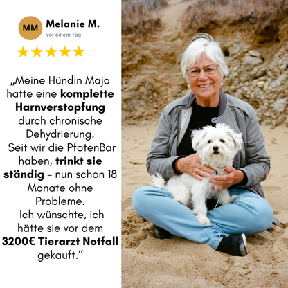 Schütze deinen Hund vor Dehydrierung und Harnwegsproblemen mit der PfotenBar