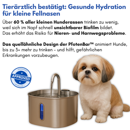 Schütze deinen Hund vor Dehydrierung und Harnwegsproblemen mit der PfotenBar