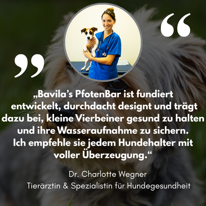 Schütze deinen Hund vor Dehydrierung und Harnwegsproblemen mit der PfotenBar