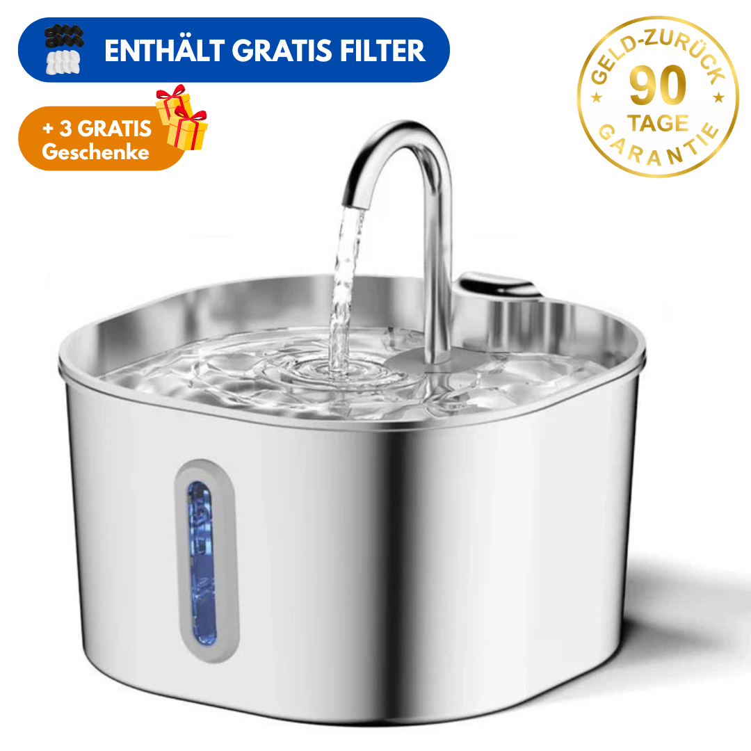 Schütze deine Katze vor Dehydrierung und Harnwegsproblemen mit der PfotenBar