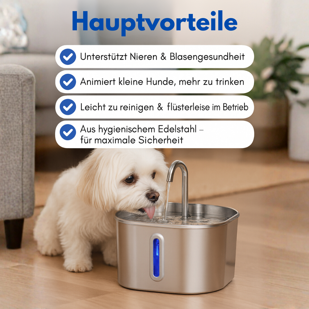 Schütze deinen Hund vor Dehydrierung und Harnwegsproblemen mit der PfotenBar