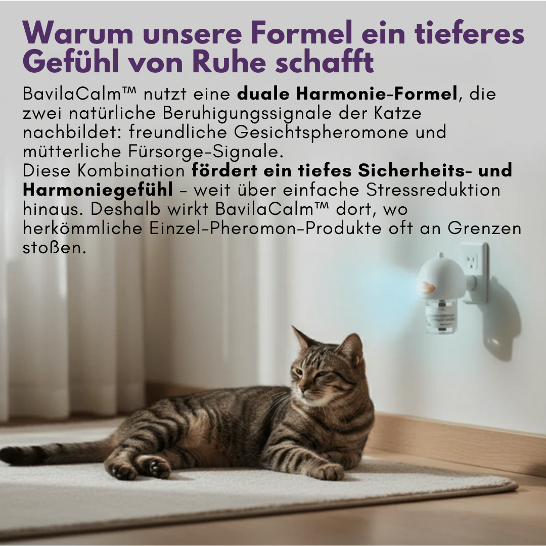 Geben Sie Ihrer Katze endlich die Ruhe und Sicherheit, die sie verdient mit BavilaCalm™