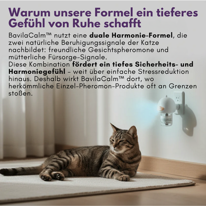 Geben Sie Ihrer Katze endlich die Ruhe und Sicherheit, die sie verdient mit BavilaCalm™
